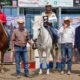 FIERA CAVALLI TREVIGLIO AMERICAN WESTERN SHOW