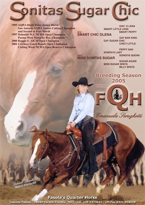 FASOLA QUARTER HORSE