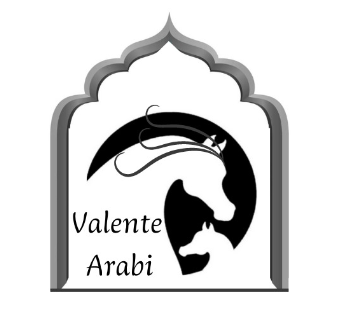 VALENTE ARABI