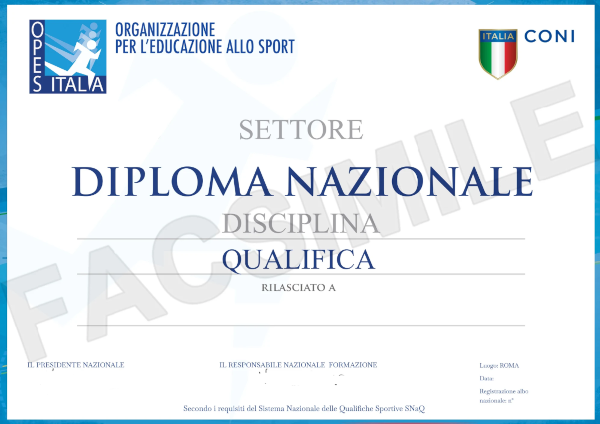 DIPLOMA TECNICO